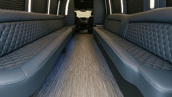 las vegas 30 passenger party bus rental